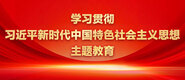 女生小穴被大鸡巴插入视频学习贯彻习近平新时代中国特色社会主义思想主题教育_fororder_ad-371X160(2)